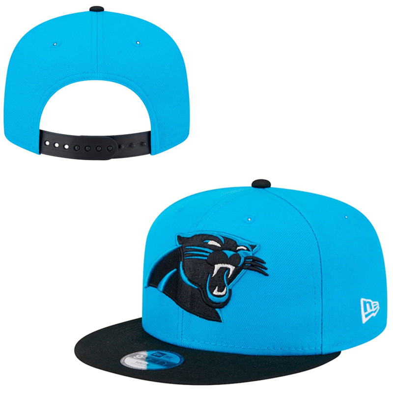 2024 NFL Carolina Panthers Hat TX202411051